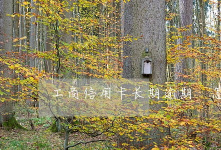 工商信用卡长期逾期 怎么办 工商信用卡长期逾期 怎么办